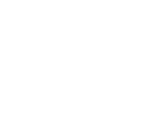 Evolution games at Bingo Liner Casino