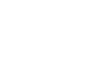 NetEnt games at Bingo Liner Casino